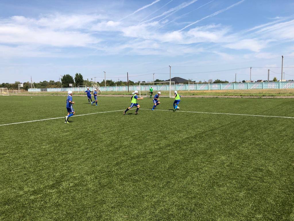 Поле с покрытием