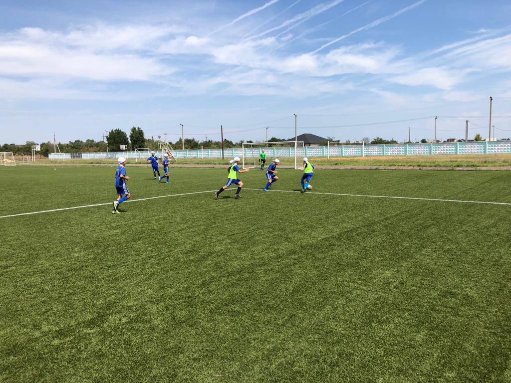 Поле с покрытием